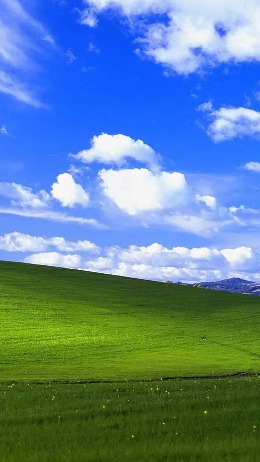 ai character: Seventeen xfohv  background