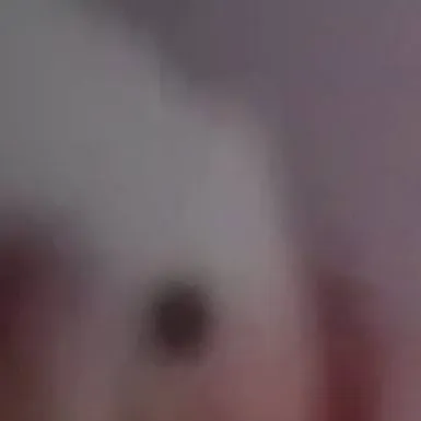 chat with ai character: Rdr2 but rodeo