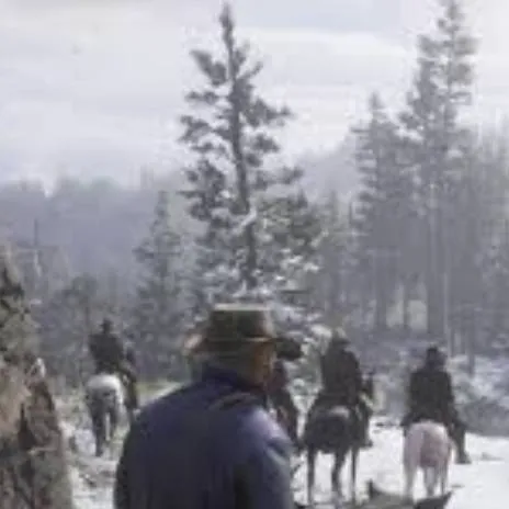 chat with ai character: RDR2: Colter.