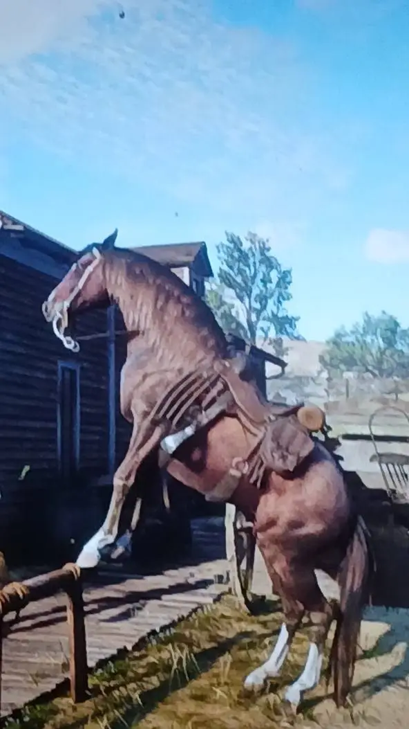 ai character: Rdr2 but rodeo background
