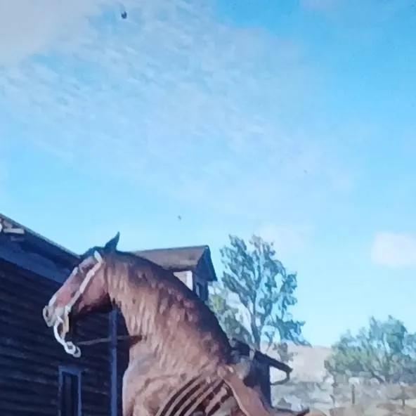 chat with ai character: Rdr2 but rodeo