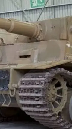 ai character: tiger 1 background