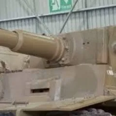 chat with ai character: tiger 1