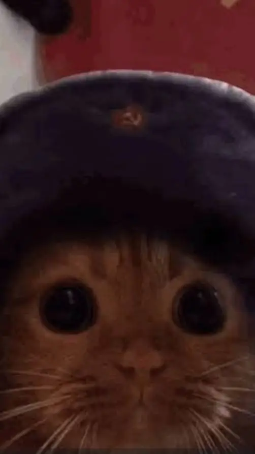 ai character: soviet kitty background