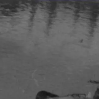 chat with ai character: panzer of the lake