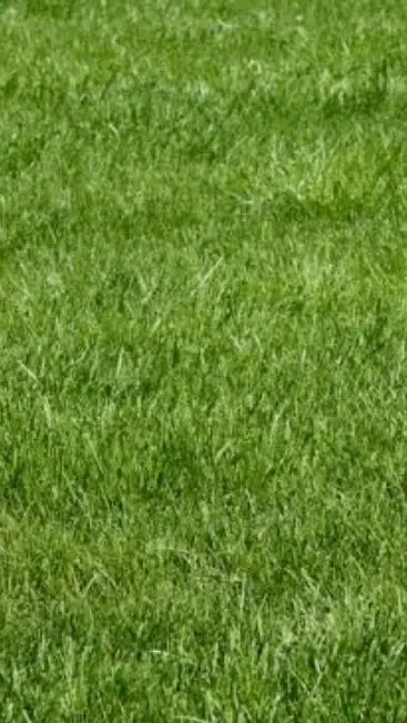 ai character: talkie ideas background