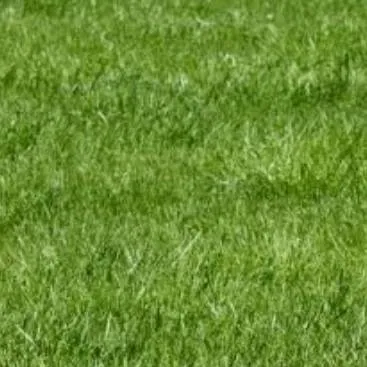 chat with ai character: talkie ideas