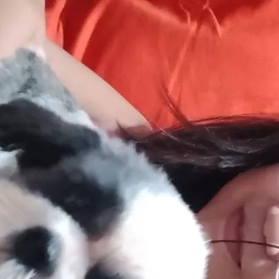 chat with ai character: u ruinded the colo