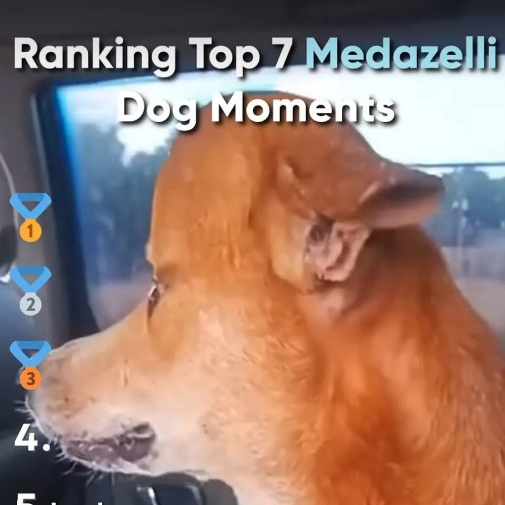 chat with ai character: Heyy Twin