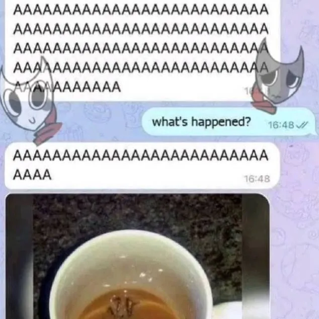 chat with ai character: DW