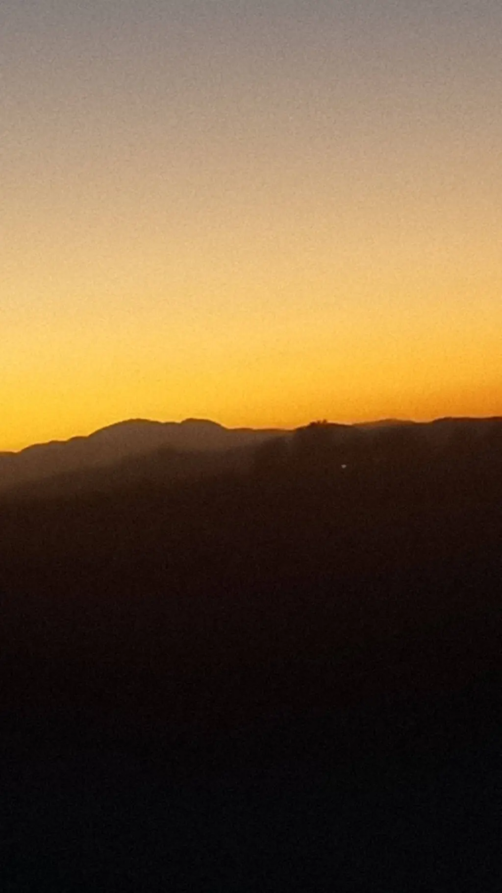 ai character: Sonic  background