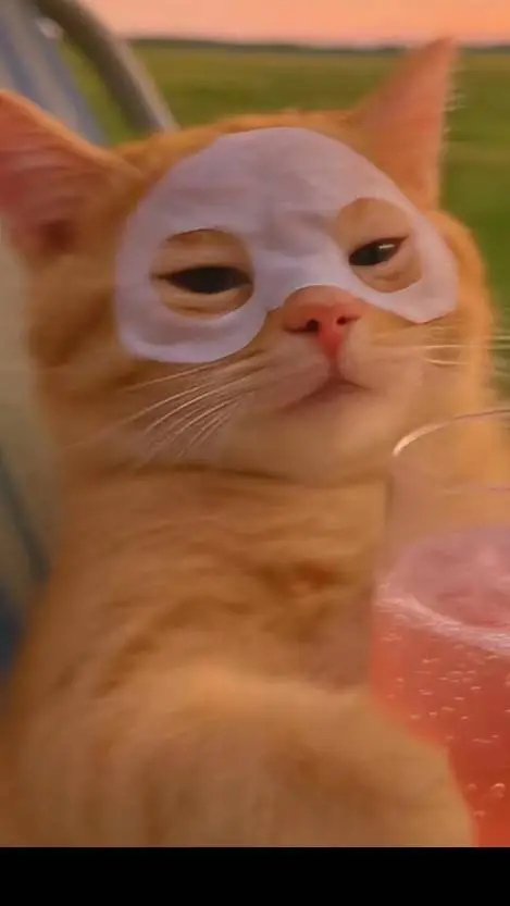 ai character: gatito  background