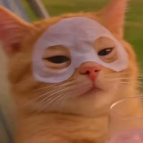chat with ai character: gatito 