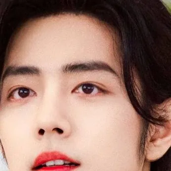 chat with ai character: Xiao Zhan