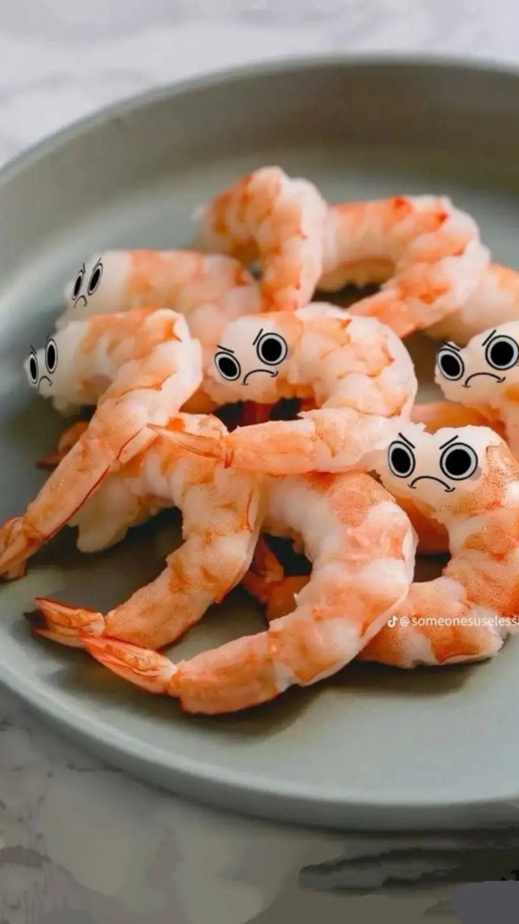ai character: 《》shrimpo《》 background