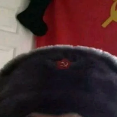 chat with ai character: Soviet Shiba