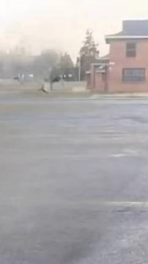 ai character: Saitama glazer background