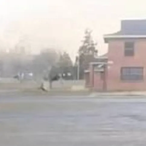 chat with ai character: Saitama glazer