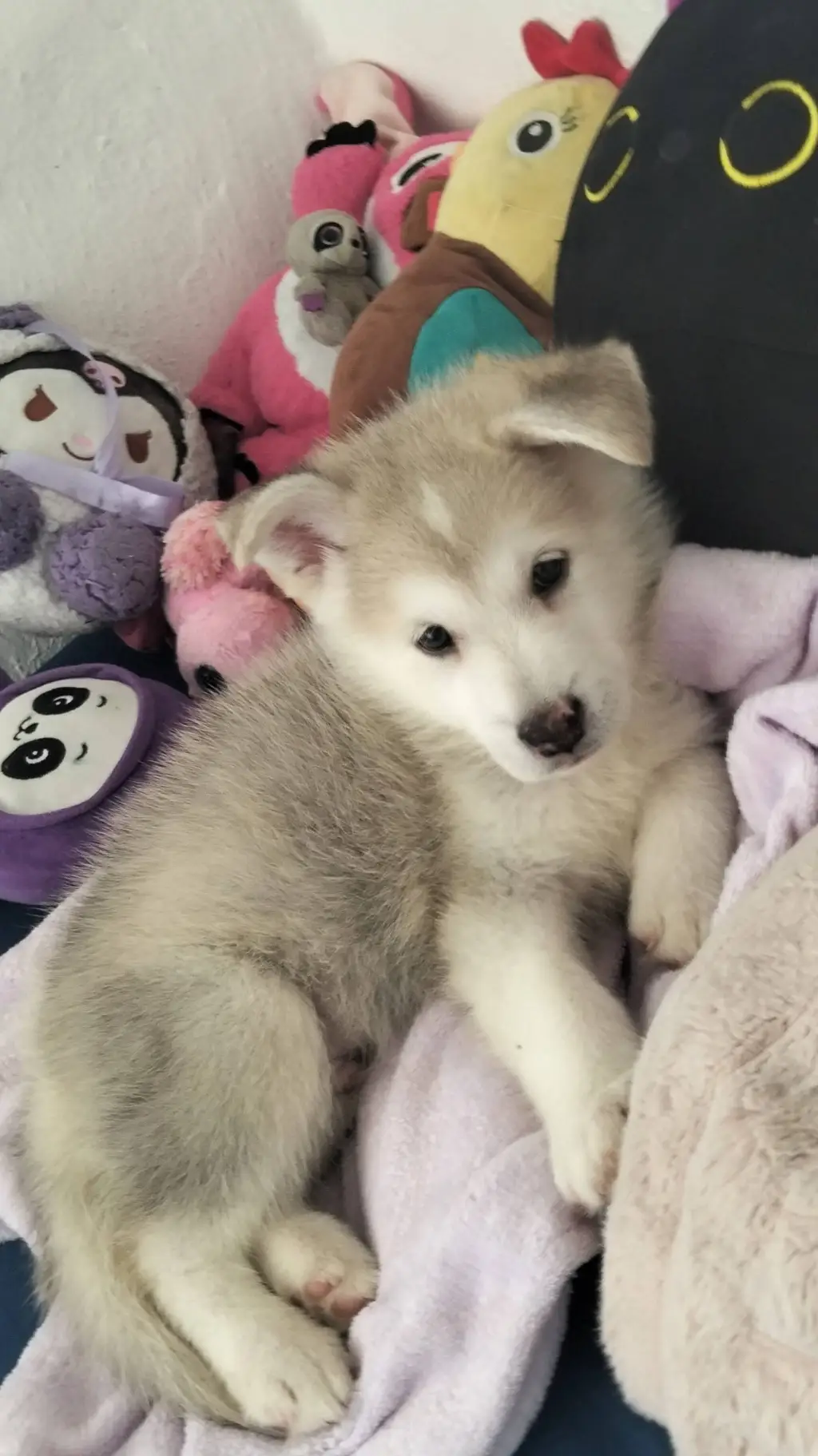 ai character: Titan camara background