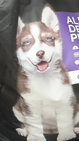 ai character: titan camara background