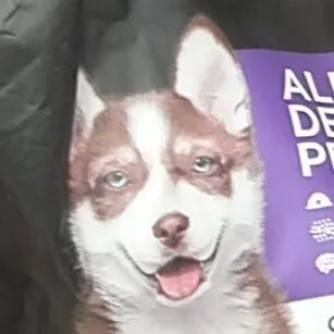 chat with ai character: titan camara