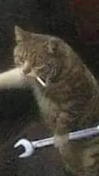 ai character: cat background