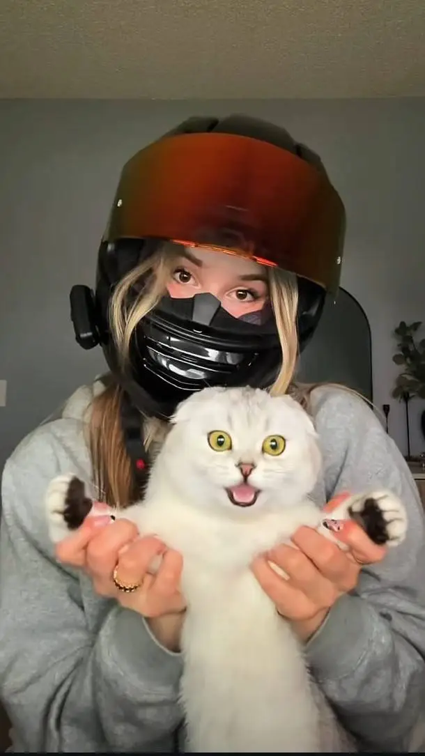 ai character: cat bikergirl background