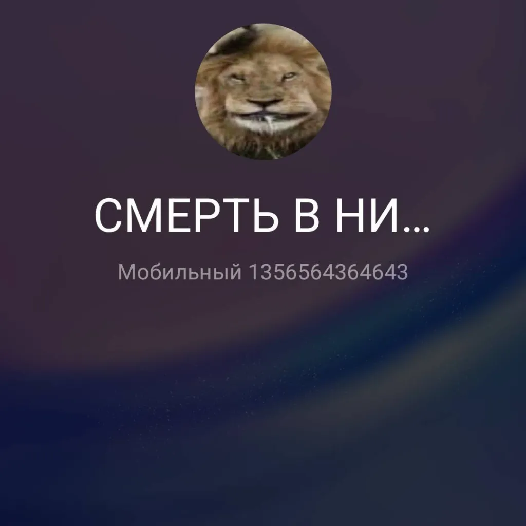 chat with ai character: с.в.н 