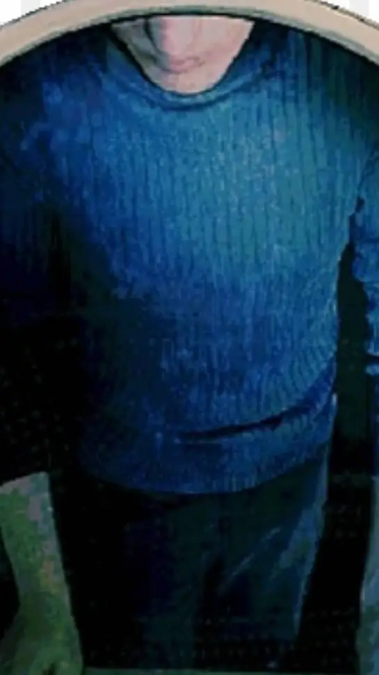 ai character: ninh background