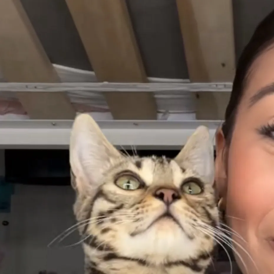 chat with ai character: jasper 