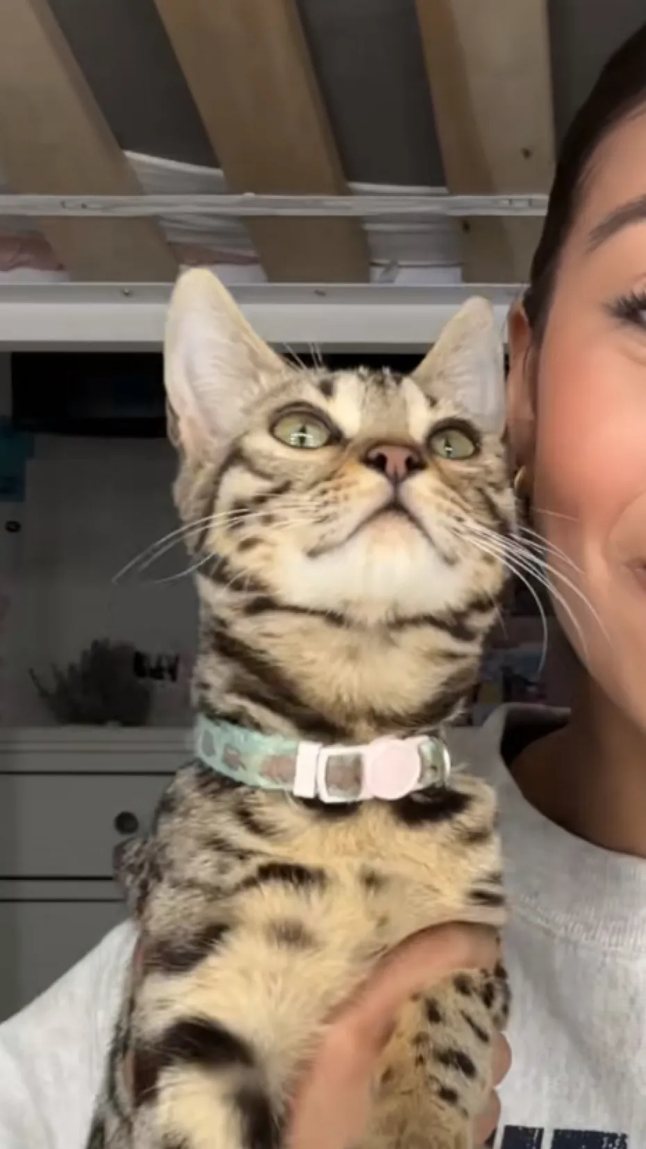 ai character: jasper  background