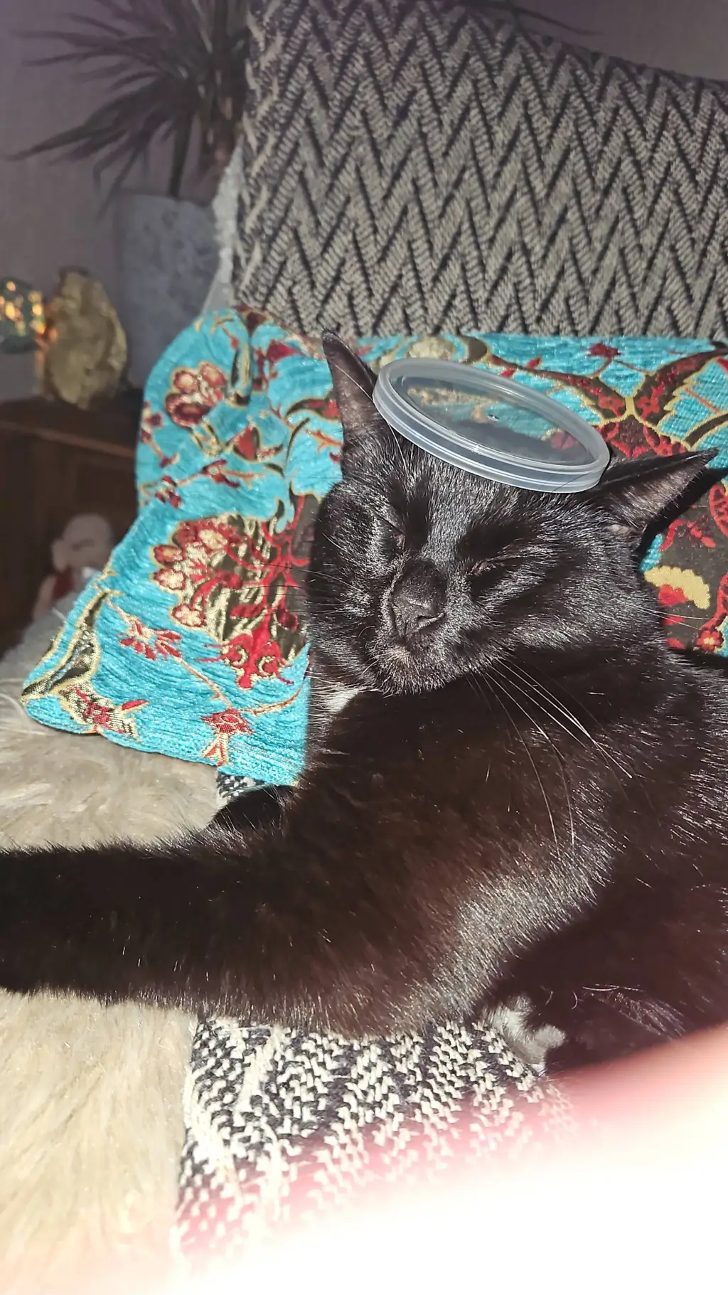 ai character: billie eilish  background