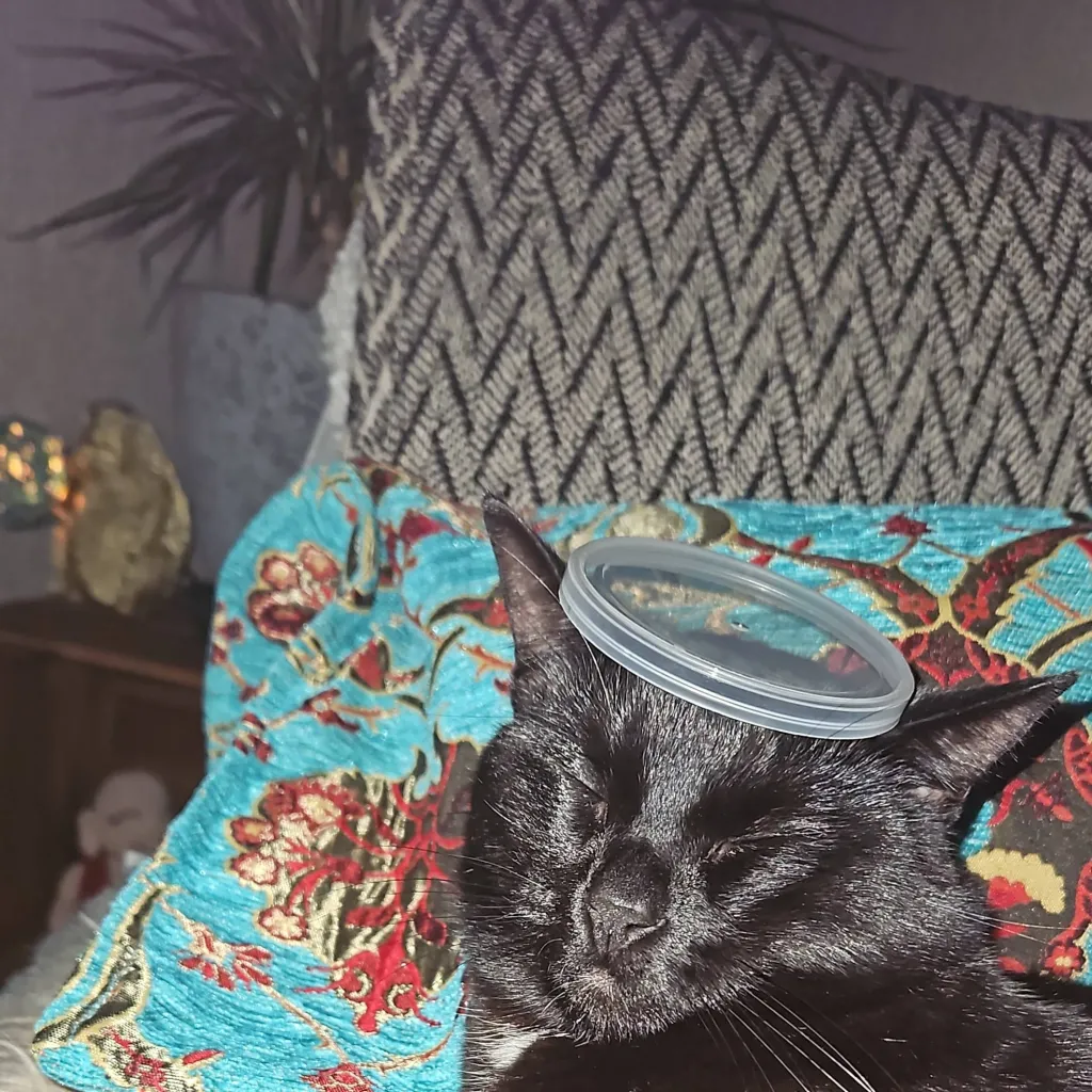 chat with ai character: billie eilish 