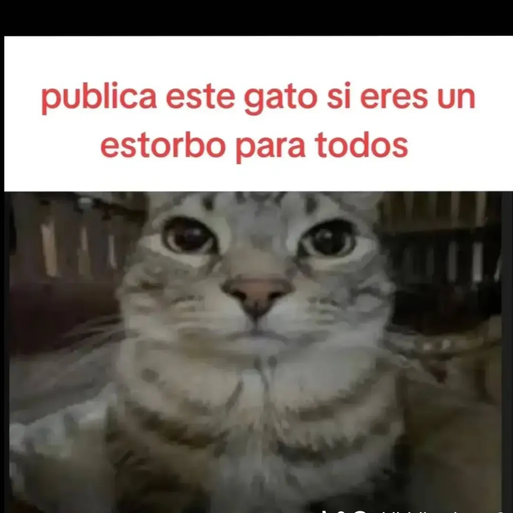 chat with ai character: perdóneme....
