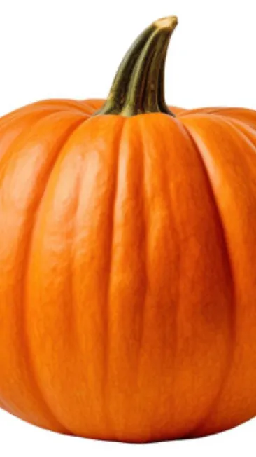 ai character: Pumpkin background