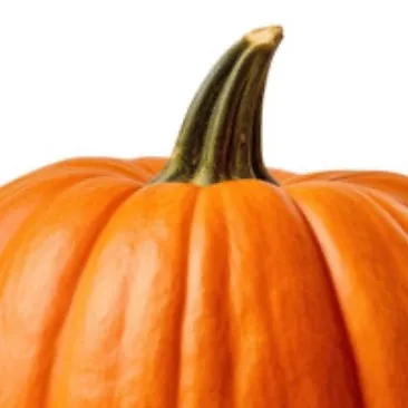 chat with ai character: Pumpkin