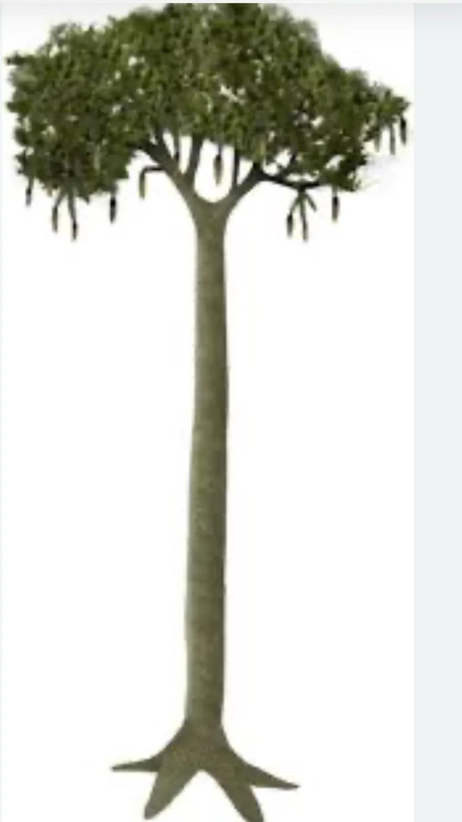 ai character: lepidondrendon background