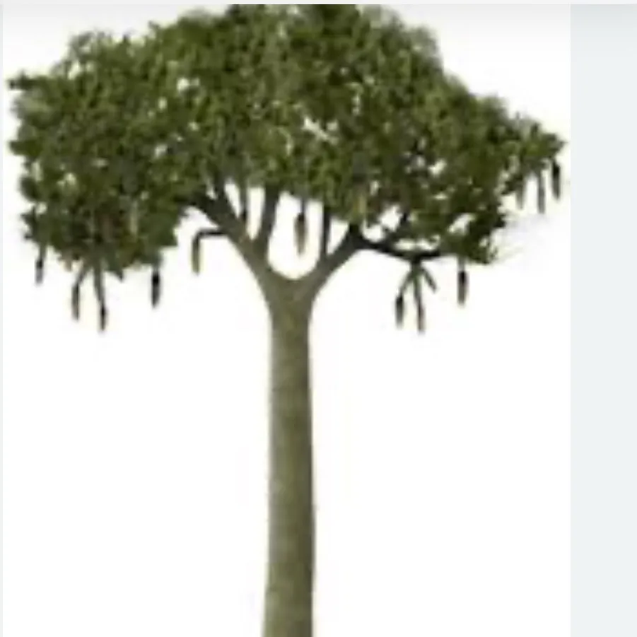 chat with ai character: lepidondrendon