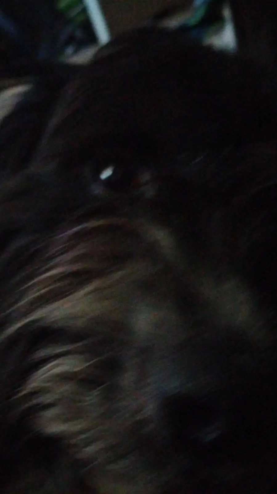 ai character: herry background