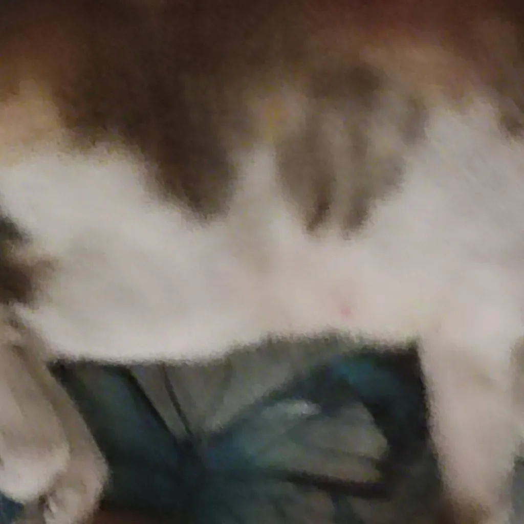 chat with ai character: poor cats