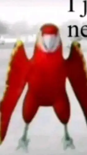 ai character: some crazy parrot  background