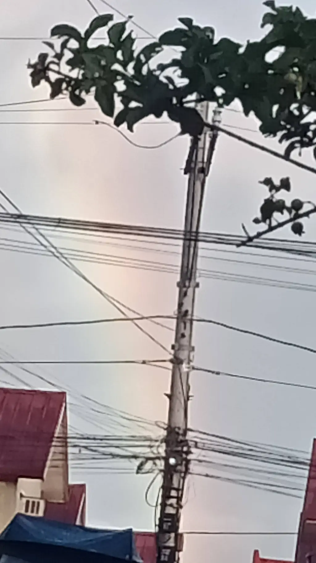 ai character: CH?.. background