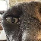 chat with ai character: Larry