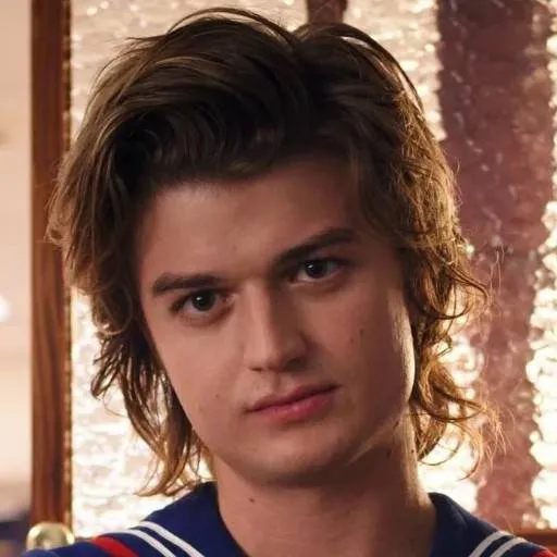 chat with ai character: Steve Harrington 2