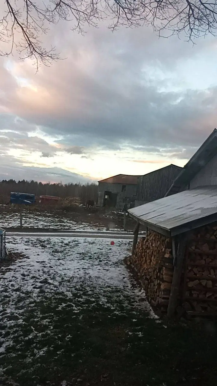 ai character: Steve Harrington 6 background