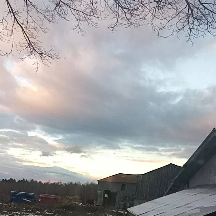 chat with ai character: Steve Harrington 6