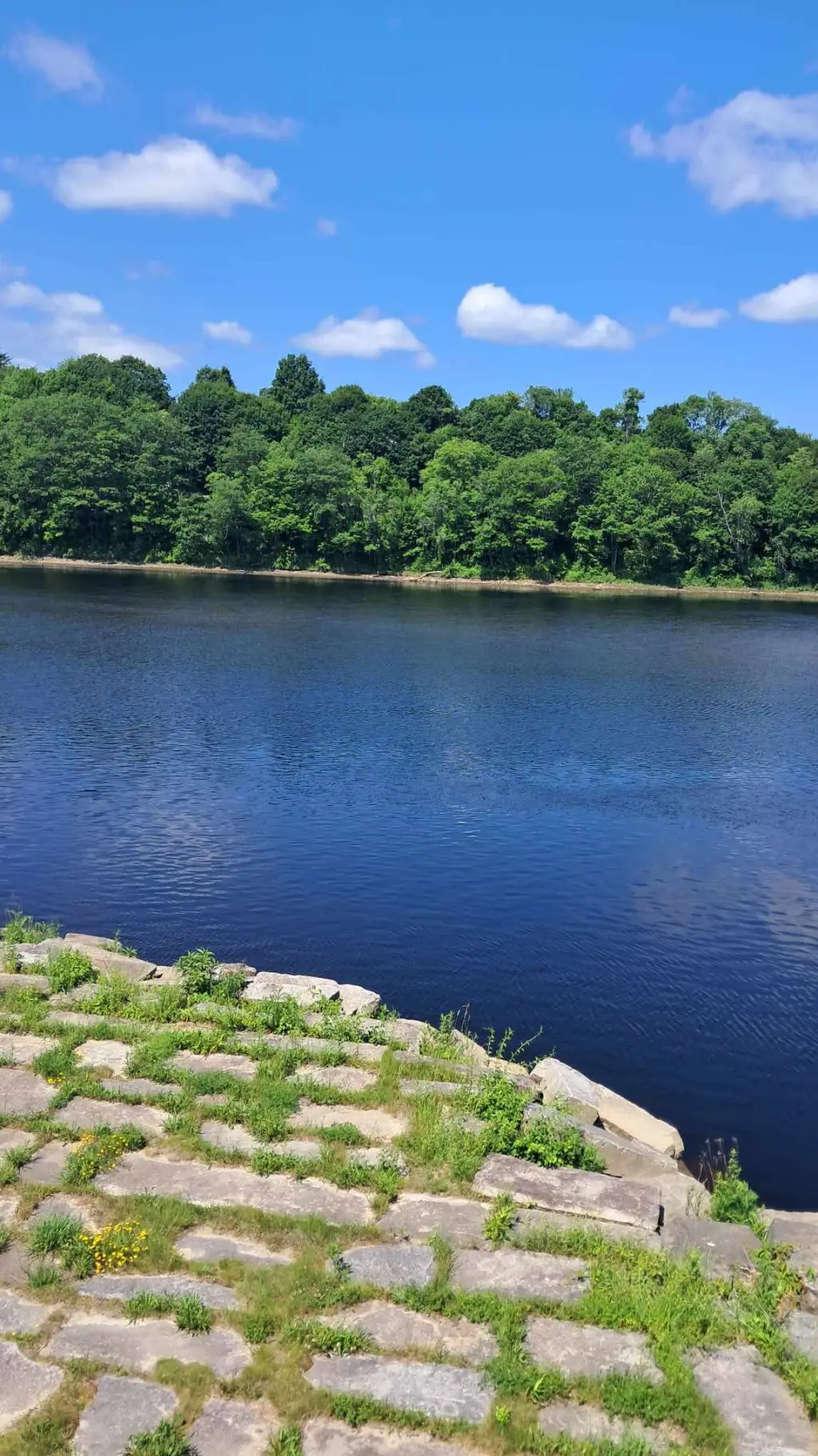 ai character: Will Byers #3 background