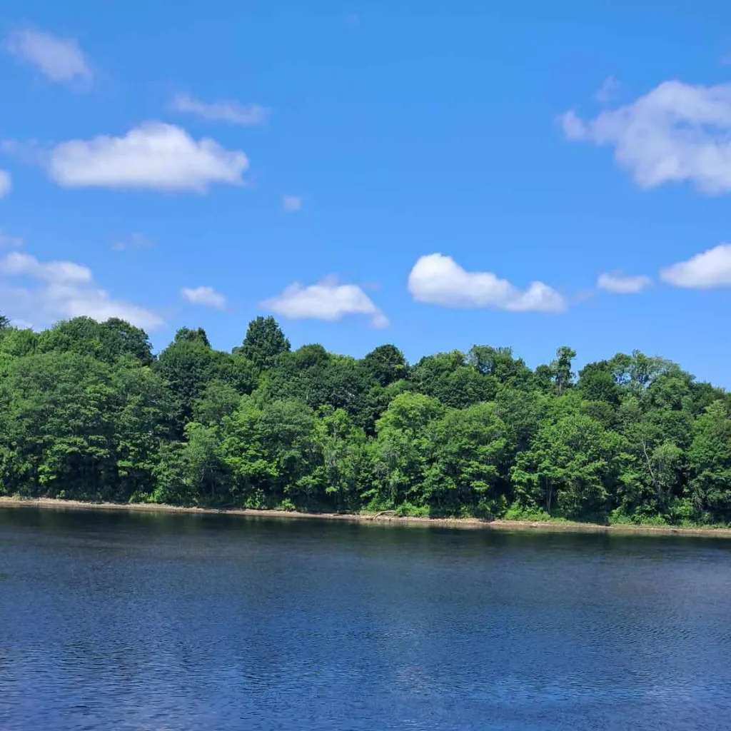 chat with ai character: Will Byers #3