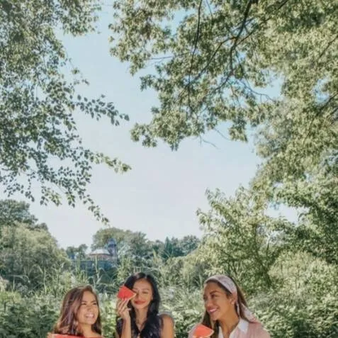 chat with ai character: Wild Kratts picnic