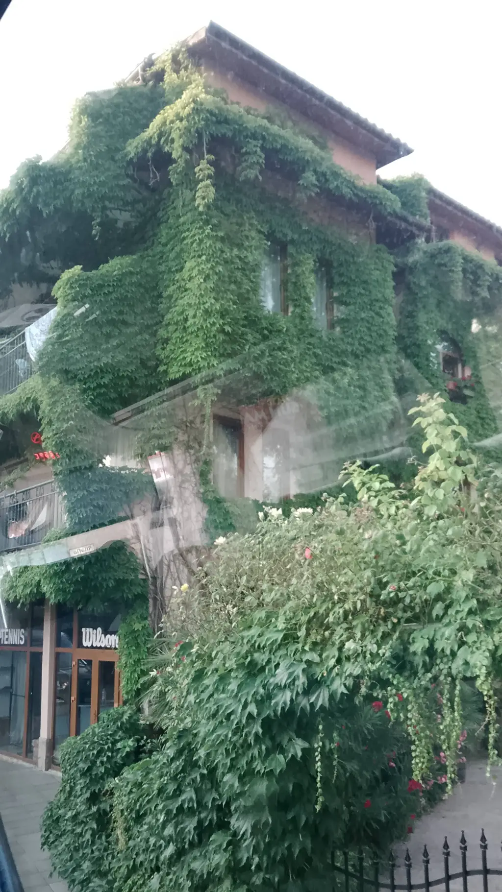 ai character: MD school background